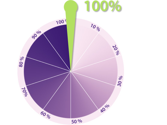 Spendenbarometer-100%